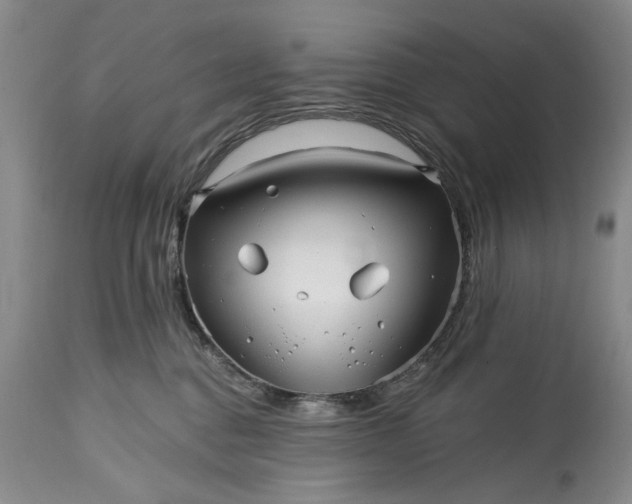 X0000114200376200910231349