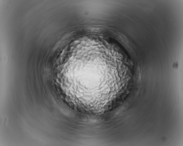 X0000114200377200910231349