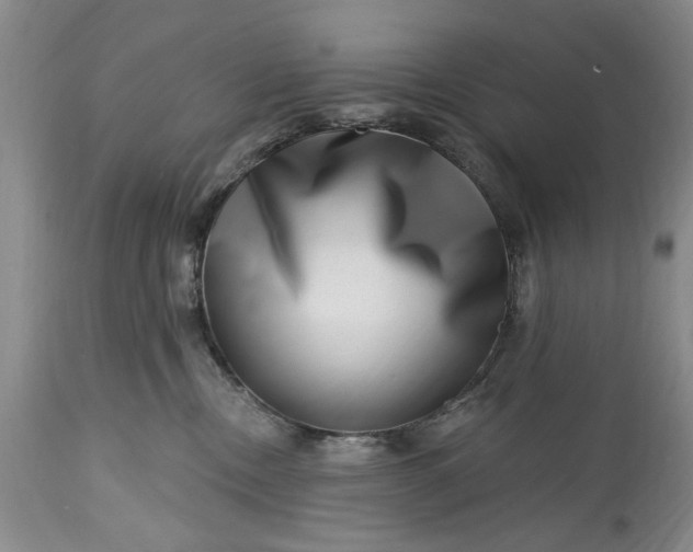 X0000114200378200910231349