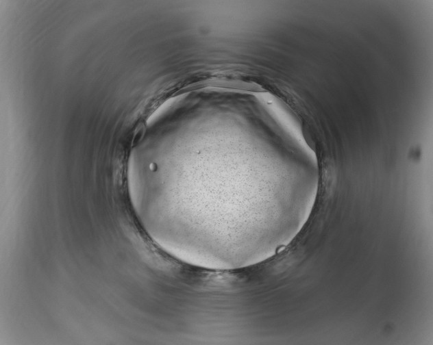 X0000114200379200910231349