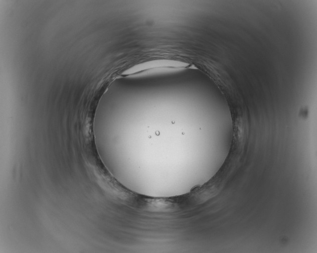 X0000114200380200910231349