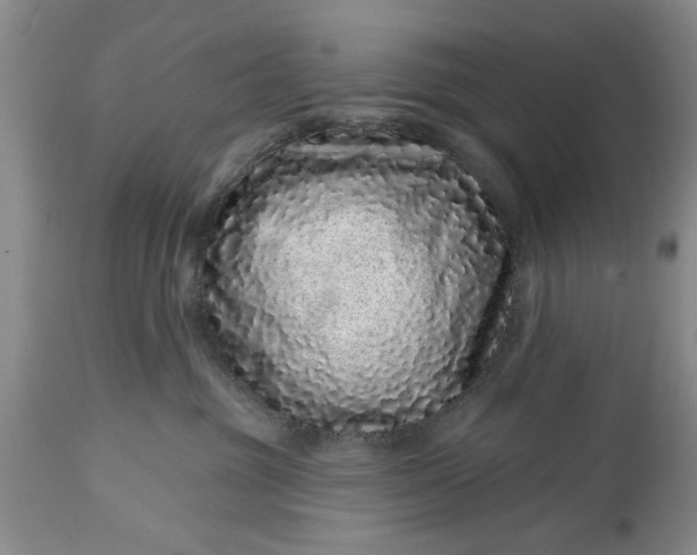 X0000114200381200910231349