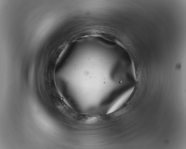 X0000114200382200910231349