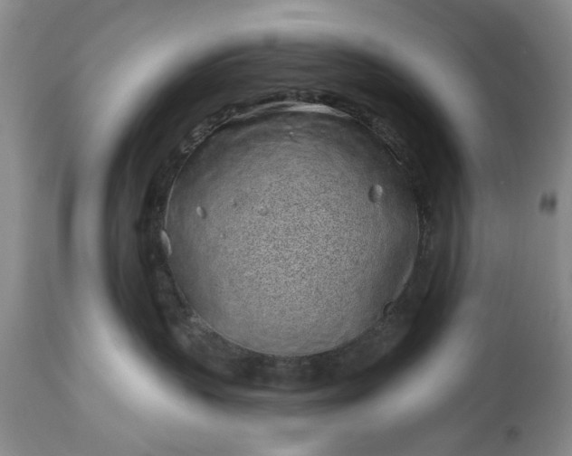 X0000114200383200910231349