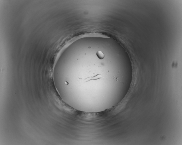 X0000114200384200910231349