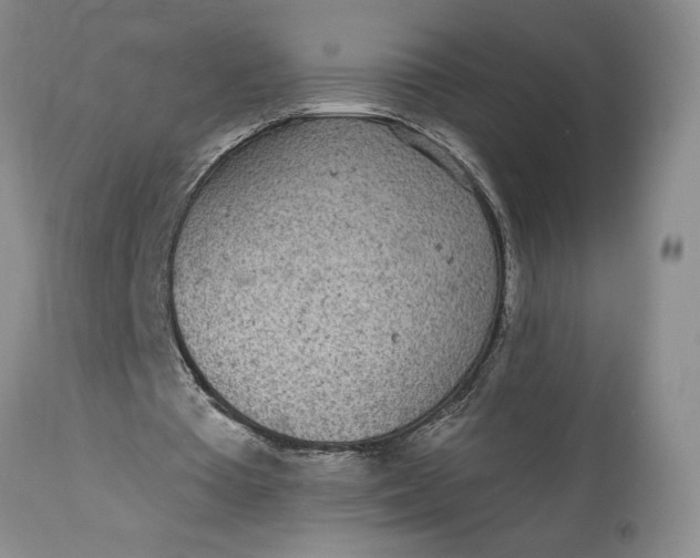 X0000114200385200910231348