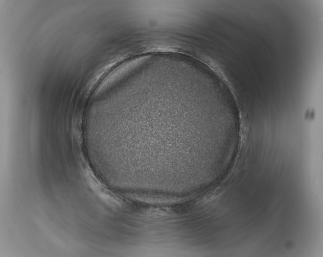 X0000114200386200910231348