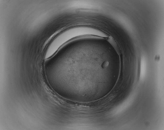 X0000114200387200910231348