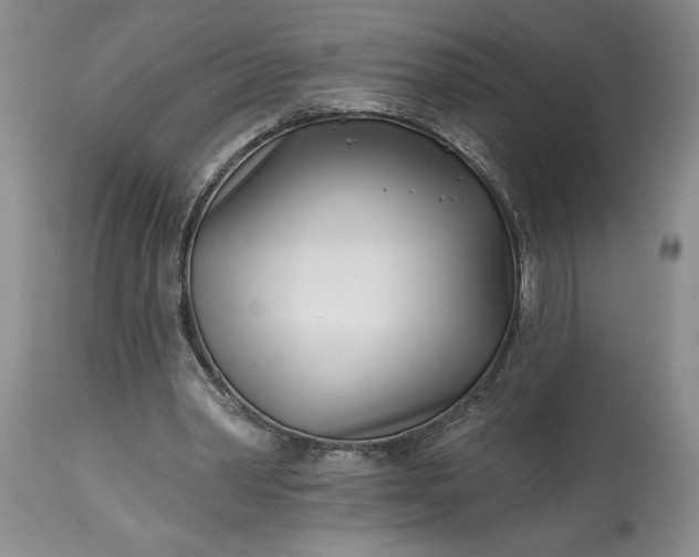 X0000114200390200910231348