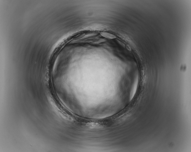 X0000114200392200910231348