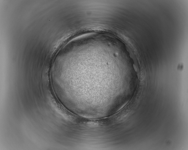 X0000114200394200910231348