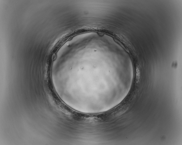 X0000114200396200910231348