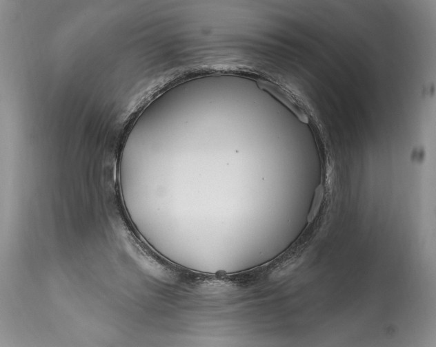 X0000114200397200910231348