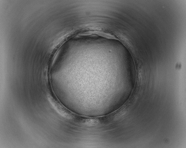 X0000114200398200910231348