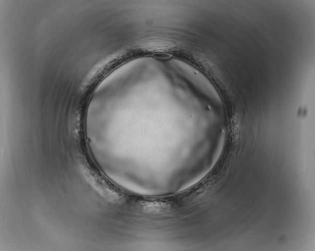 X0000114200400200910231348