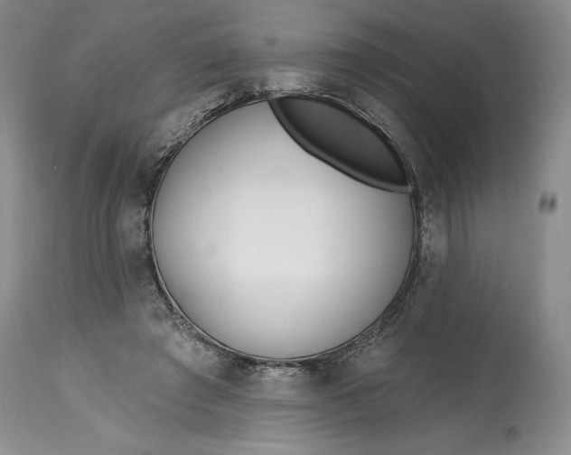 X0000114200401200910231348