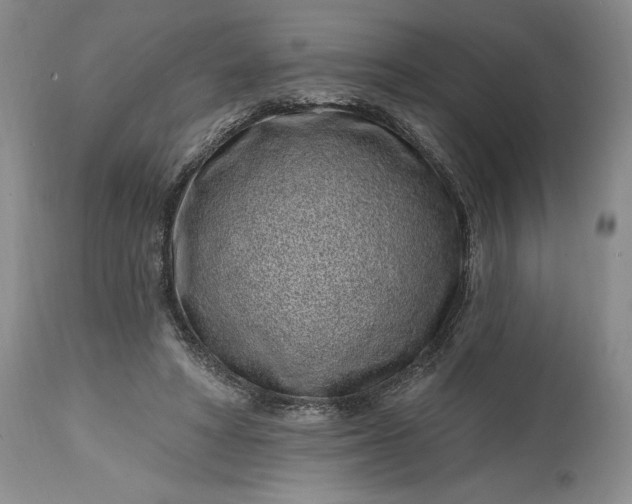 X0000114200402200910231348