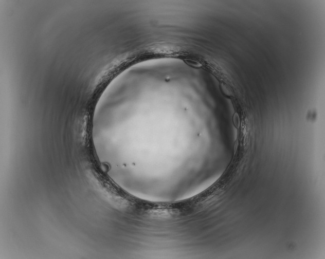 X0000114200404200910231348