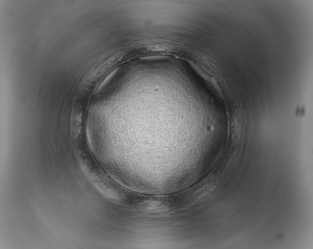 X0000114200406200910231348