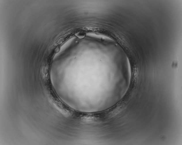 X0000114200408200910231348