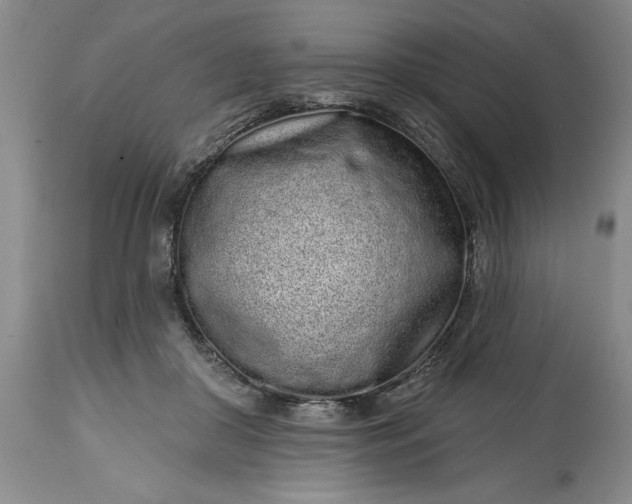 X0000114200410200910231348