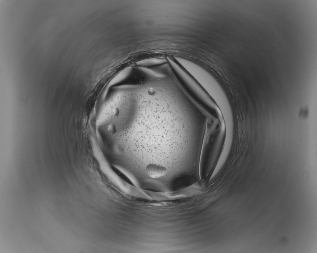 X0000114200411200910231348