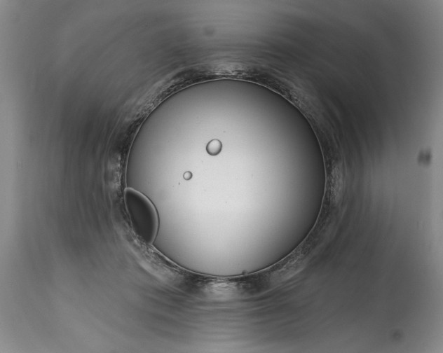 X0000114200413200910231348