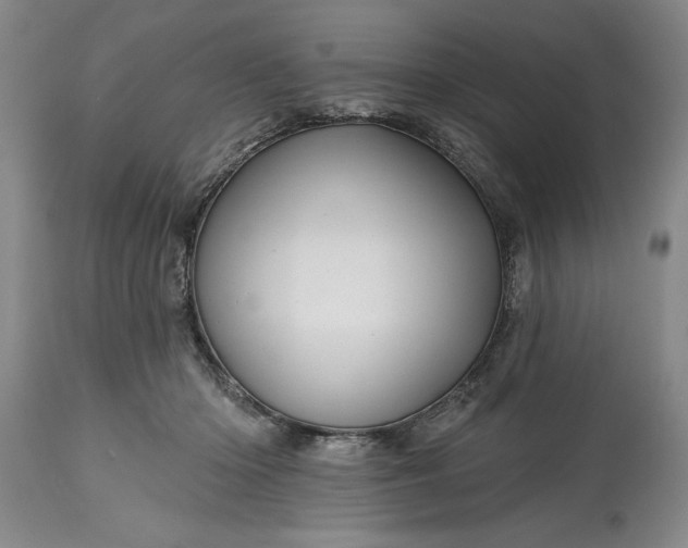 X0000114200414200910231348