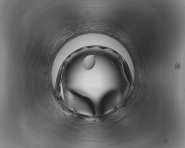 X0000114200415200910231348