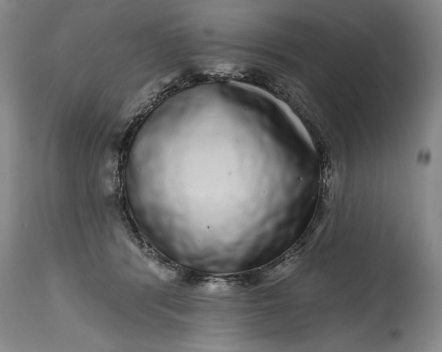 X0000114200416200910231348