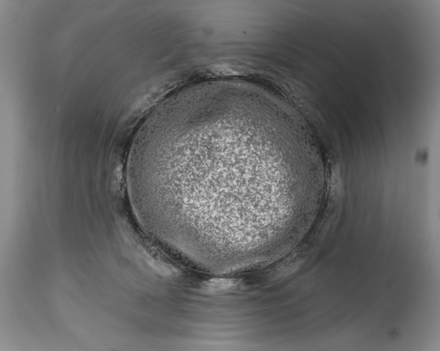 X0000114200418200910231348