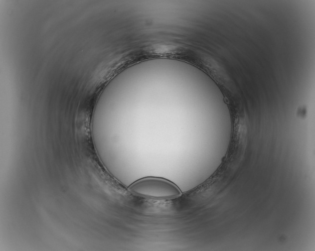 X0000114200421200910231348