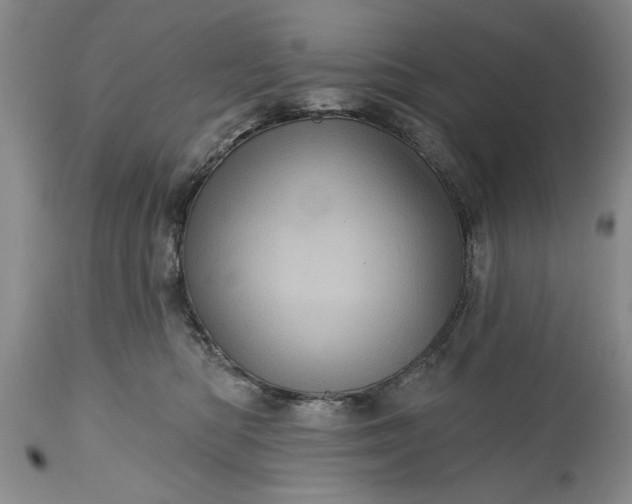 X0000114200422200910231348