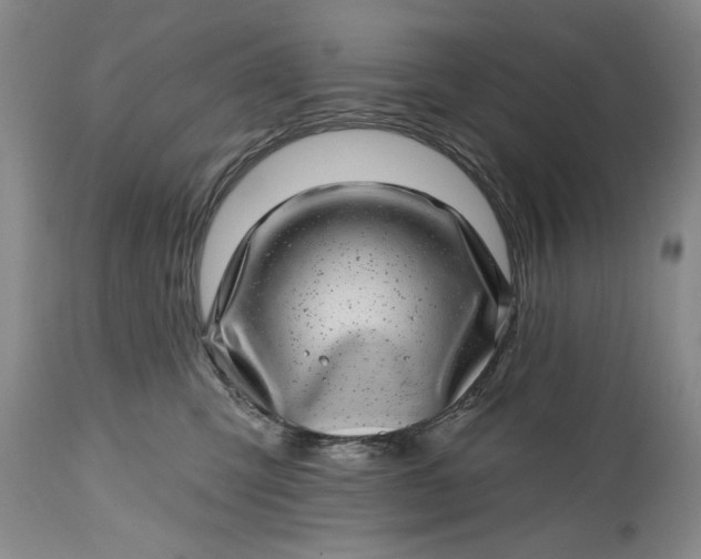 X0000114200423200910231348