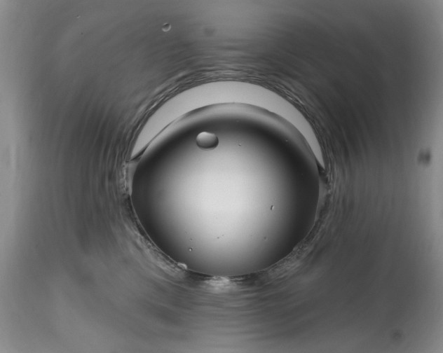 X0000114200425200910231348