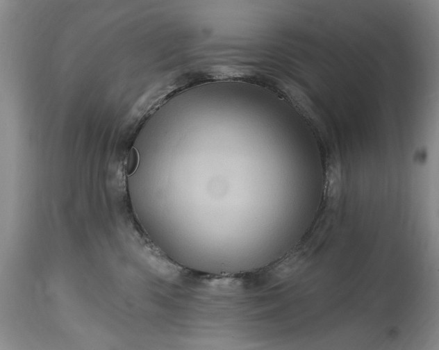 X0000114200426200910231348