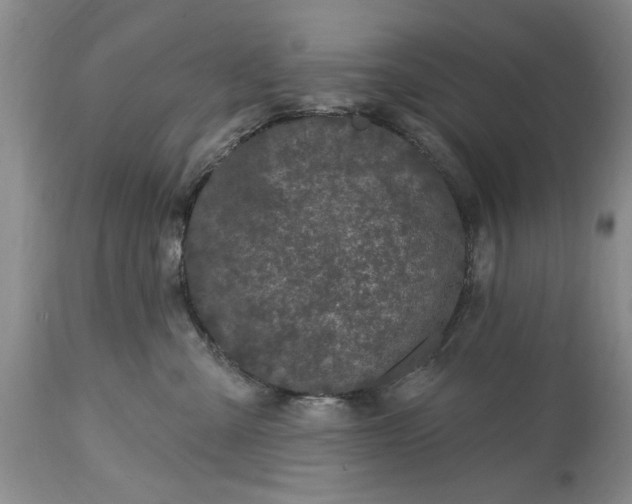 X0000114200427200910231348