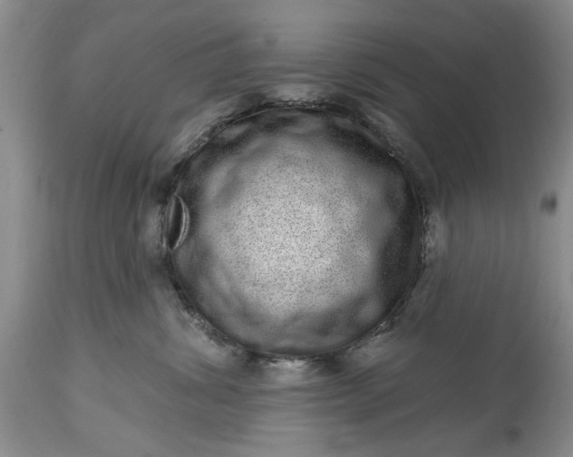 X0000114200428200910231348