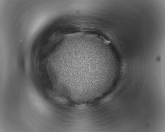 X0000114200430200910231348