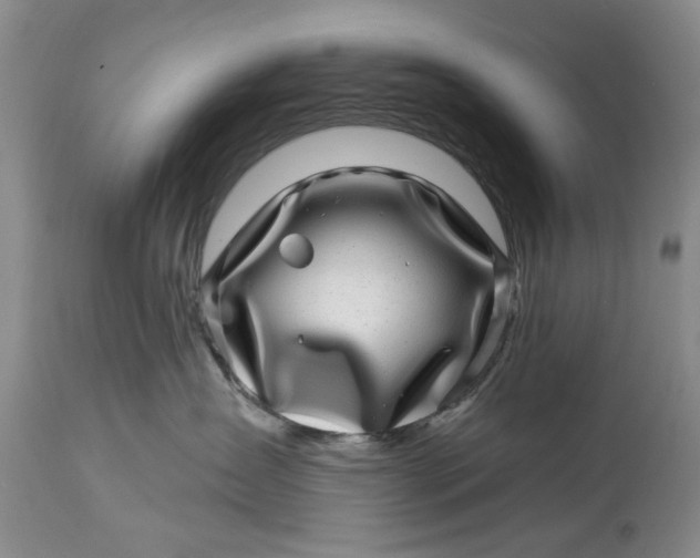 X0000114200431200910231348