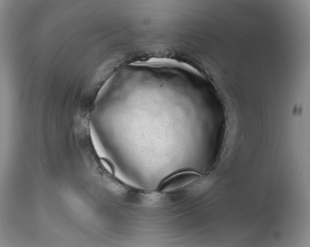 X0000114200432200910231348