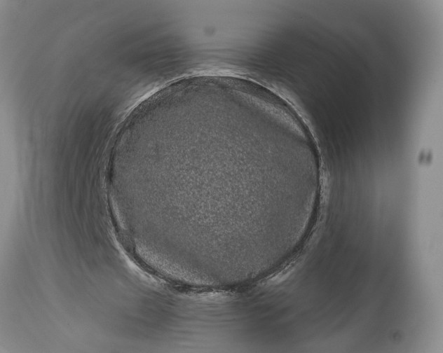 X0000114200433200910231347