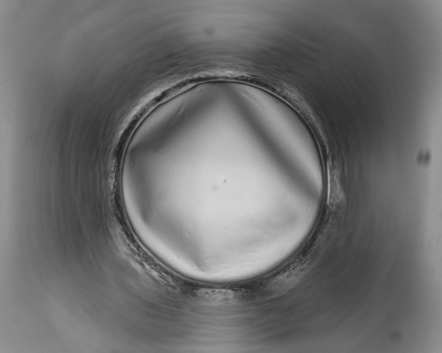 X0000114200435200910231347