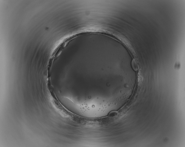 X0000114200438200910231347