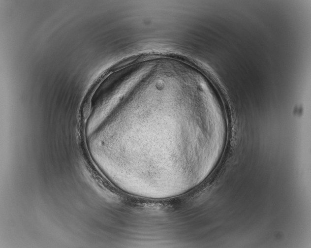 X0000114200439200910231347