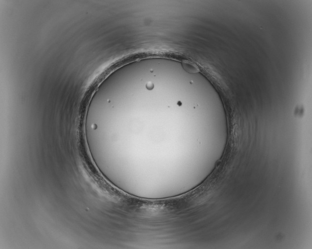 X0000114200440200910231347