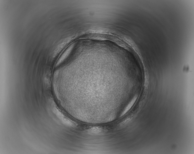 X0000114200441200910231347