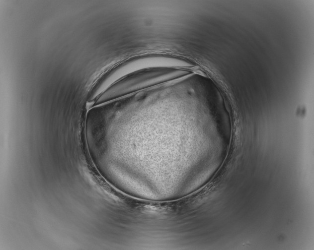 X0000114200442200910231347