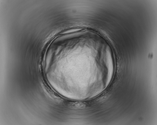 X0000114200443200910231347