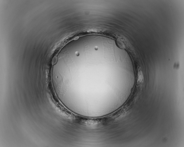 X0000114200444200910231347